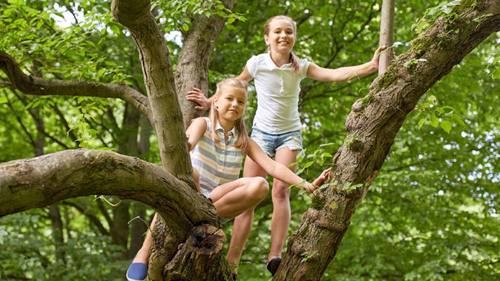 Two girls climb a tree