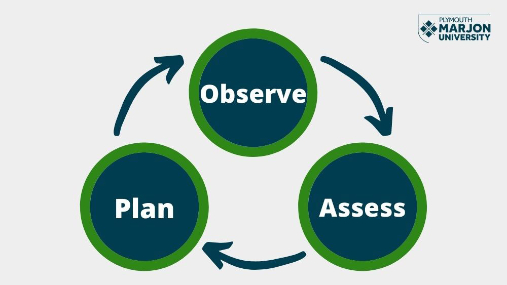 A three step circular model with the steps being Observe, Assess and Plan Cycle