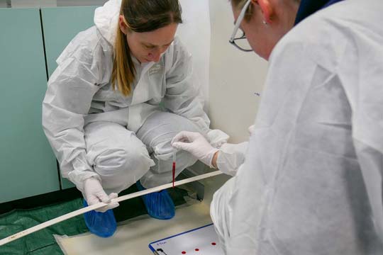 Thumbnail for BSc (Hons) Forensic Science
