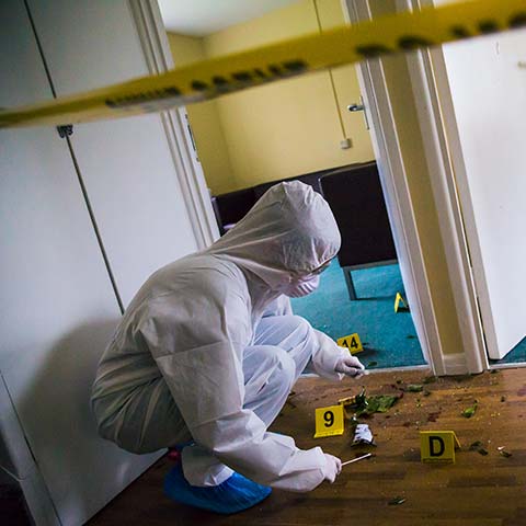 Student collecting forensic evidence at a mock crime scene