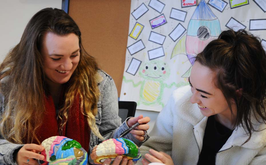 BSc Psychology students explore a model brain