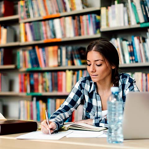A student studies in the library