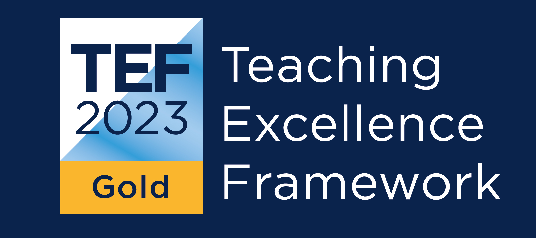 Teaching Excellence Framework 2023 - Gold Award