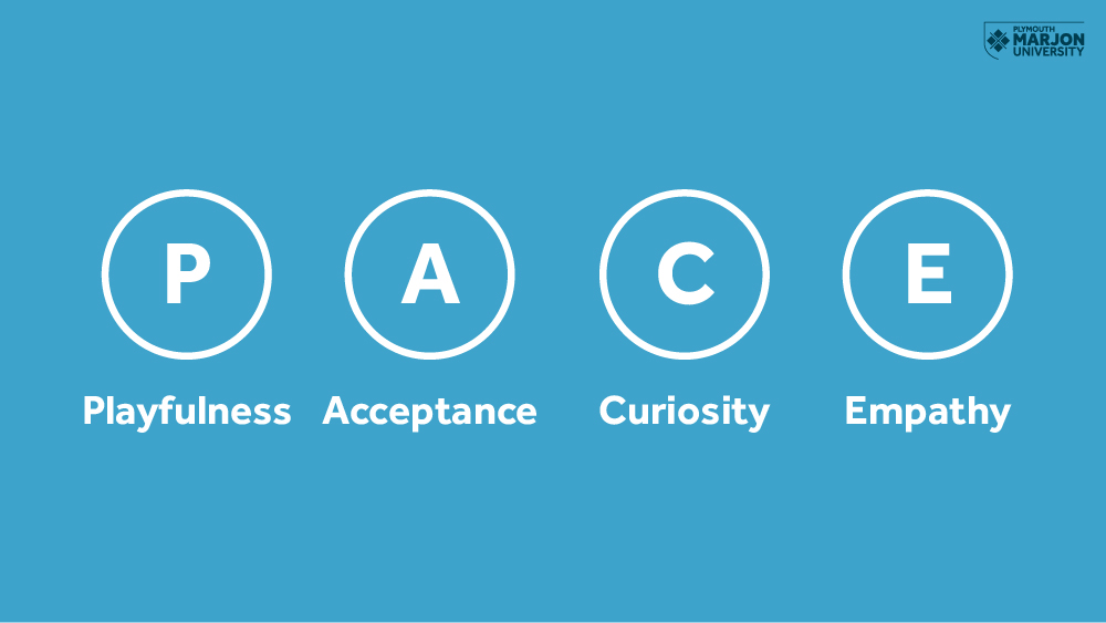 PACE stands for Playfulness, Acceptance, Empathy and Curiosity