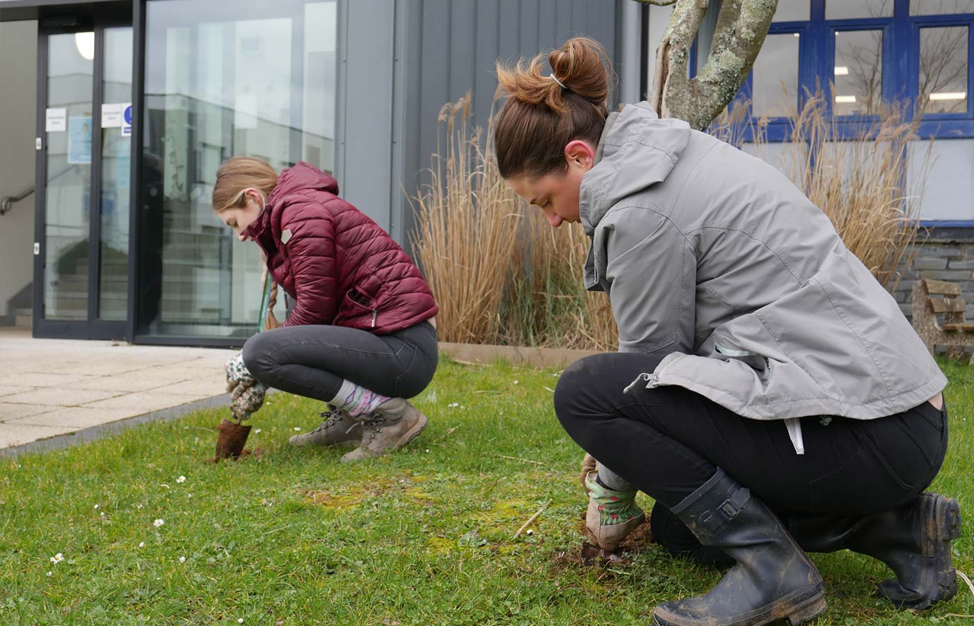 Staff and students planting tree outside the Marjon entrance