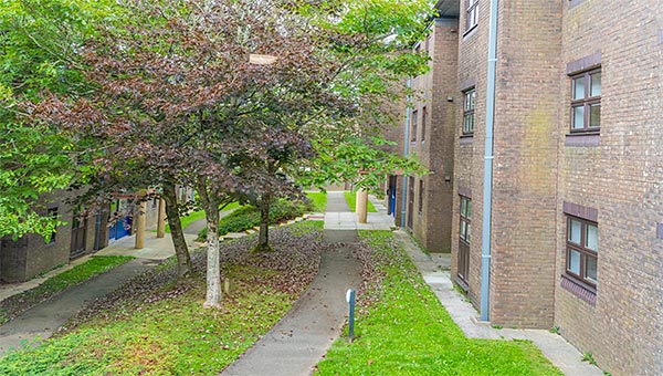 The grassy area between Coleridge, Dix, Kay-Shuttleworth and Tufnell Halls