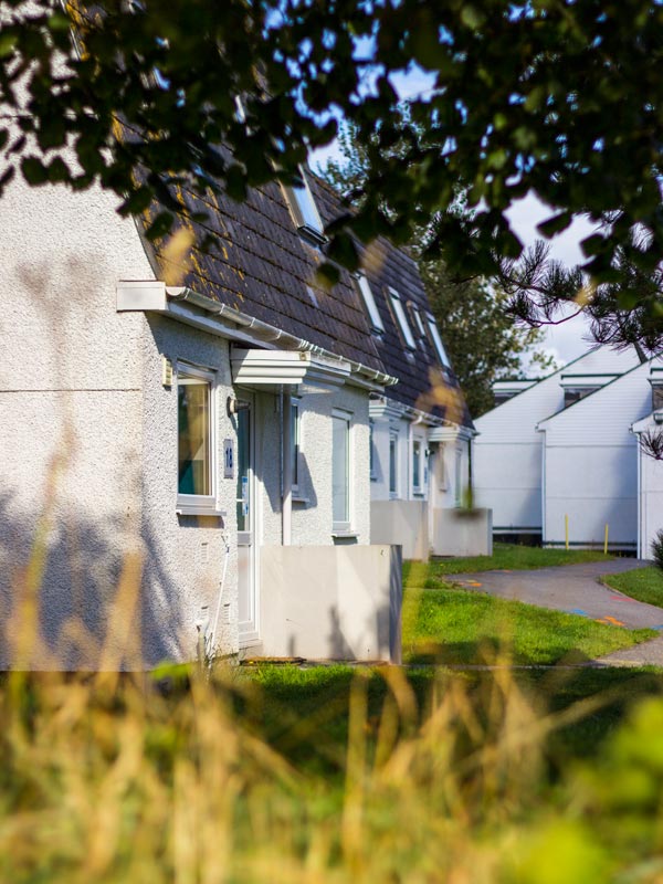 A view of village houses through trees