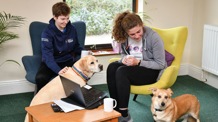 Students relaxing in our The Octagon with the Chaplain's dogs