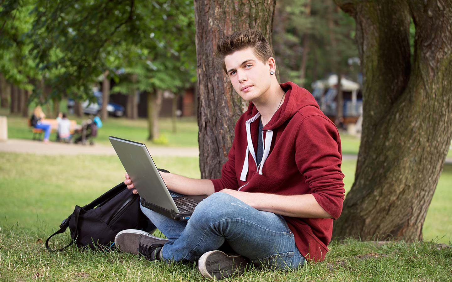 Male sitting under tree on laptop