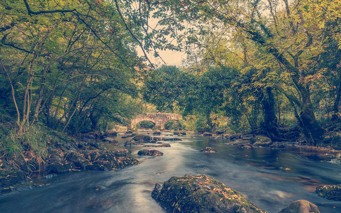 Plymbridge