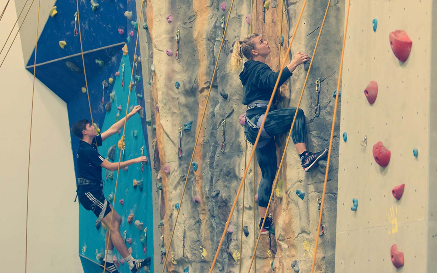 Sport Centre - Facilities & Services - Climbing Wall